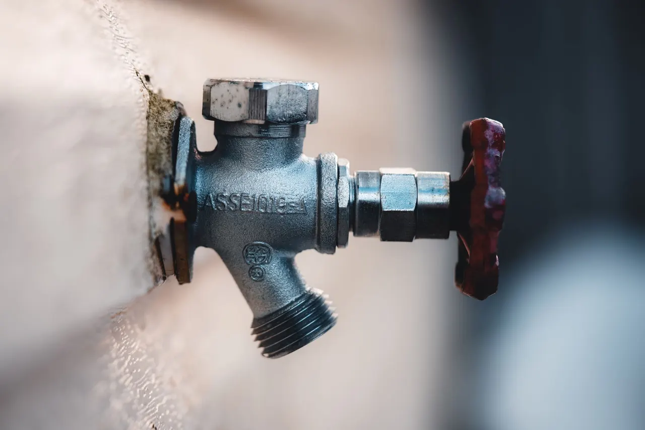 Experienced plumbing professionals at work